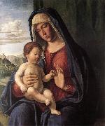 CIMA da Conegliano, Madonna and Child dfhdt